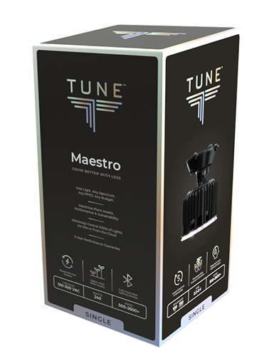 Tune_Maestro_Packaging Single_Rev_1_385x500
